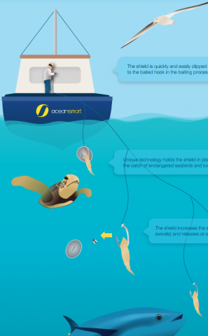 Fishing Gear  Bycatch Management Information System (BMIS)