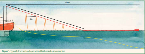 File:Bycatch - tori lines (streamer lines).svg - Wikipedia