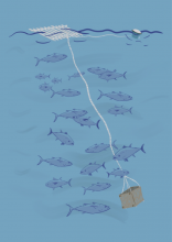 Artificial bait  Bycatch Management Information System (BMIS)